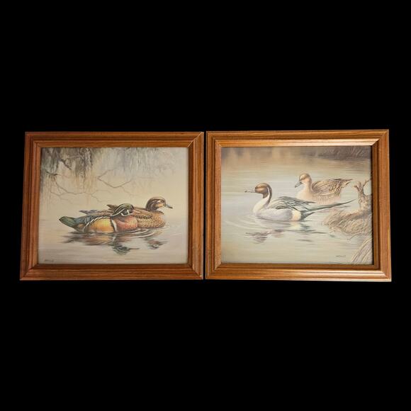 Pair Framed Duck Prints by Nichols – Wood Ducks & Pintails Waterfowl Art 10x12 - Picture 1 of 7
